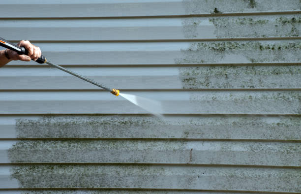 Best Roof Power Washing Services  in Carlisle, IA