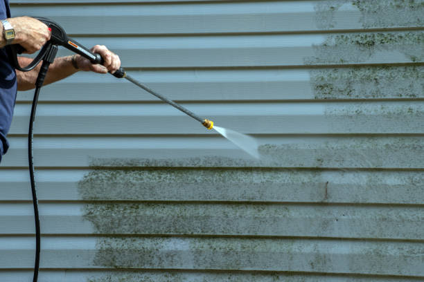 Best Pressure Washing Driveway  in Carlisle, IA