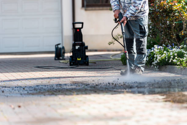 Best Deck Cleaning Services  in Carlisle, IA