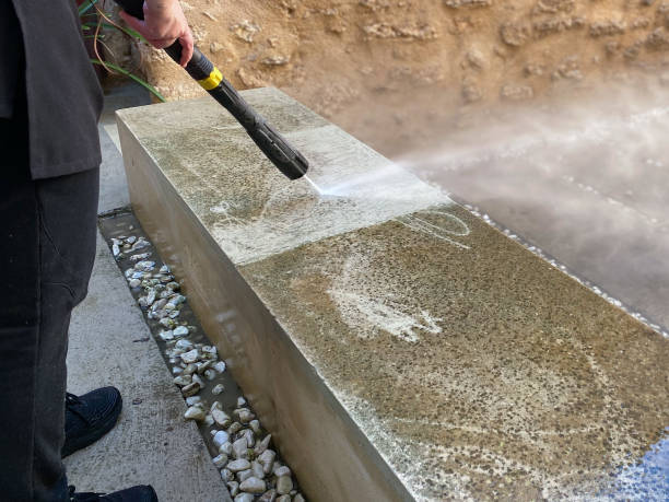 Best Pressure Washing Driveway  in Carlisle, IA