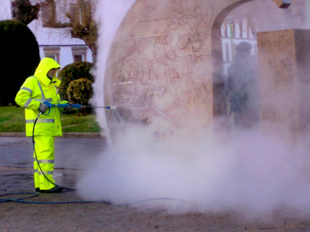 Best Local Pressure Washing Services  in Carlisle, IA