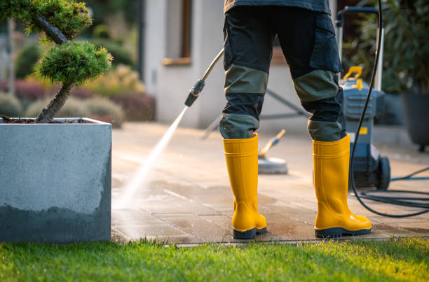 Trusted Carlisle, IA Pressure Washing Experts